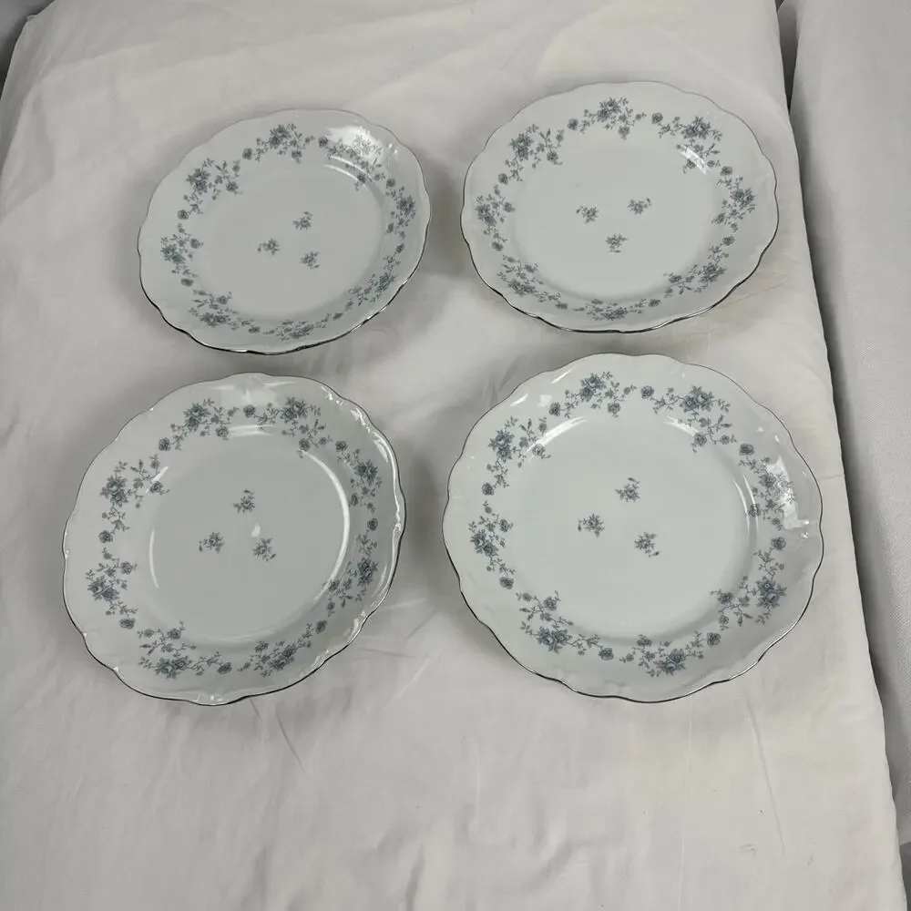 Set Of 8( 4-6” , 4-8”) JOHANN HAVILAND Bavaria Germany Plates Platinum Trim 53
